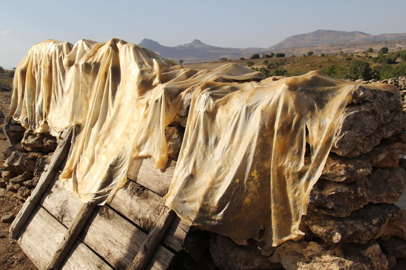 Üzümden pestile zahmetli yolculuk Üzümden pestile zahmetli yolculuk
